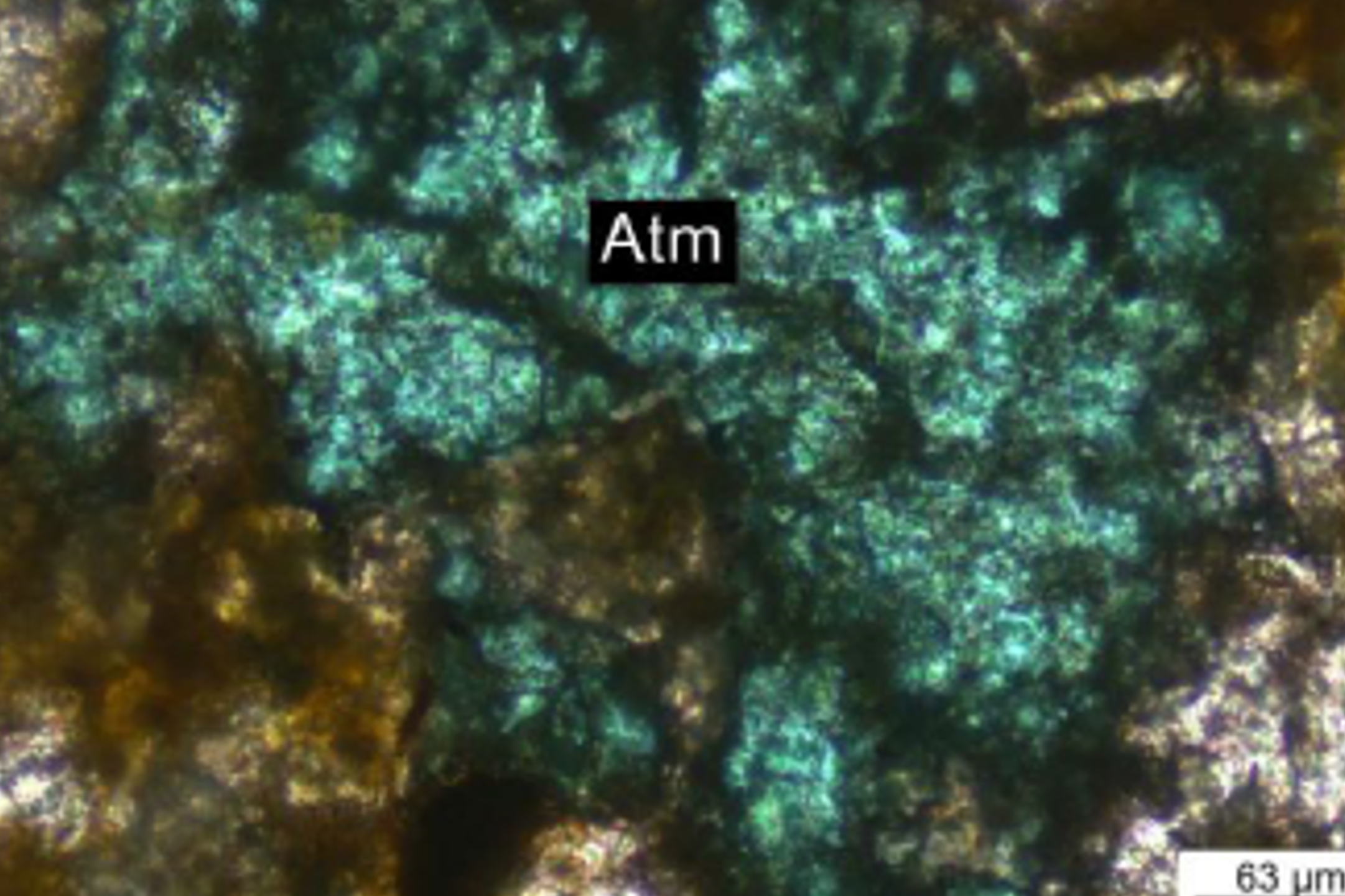 Servicios Geológicos Chile